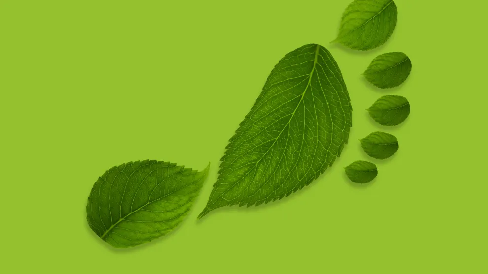 image-4_leaf-footprint.jpg